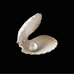 Meet your Posher, Aryn